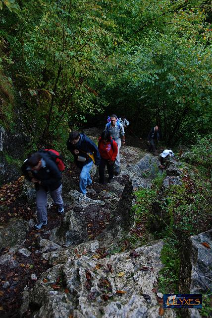 strada dei pellegrini.jpg